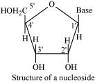 NCERT Solutions Class 11 Biology Chapter 9 - Biomolecules